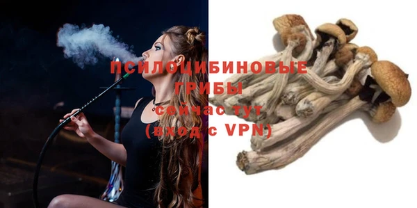 spice Алексеевка