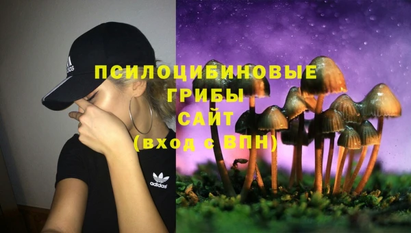 дурь Армянск