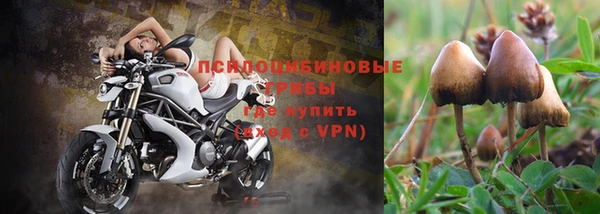 apvp Сафоново