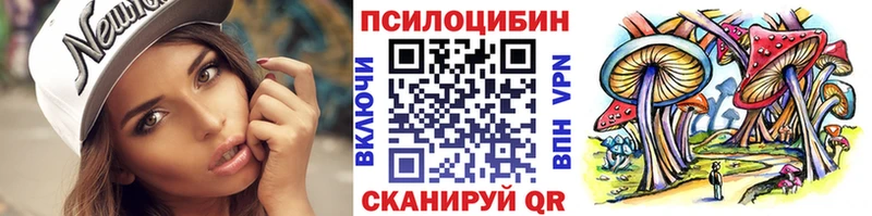 купить наркотики сайты  Светлоград  Псилоцибиновые грибы Cubensis 