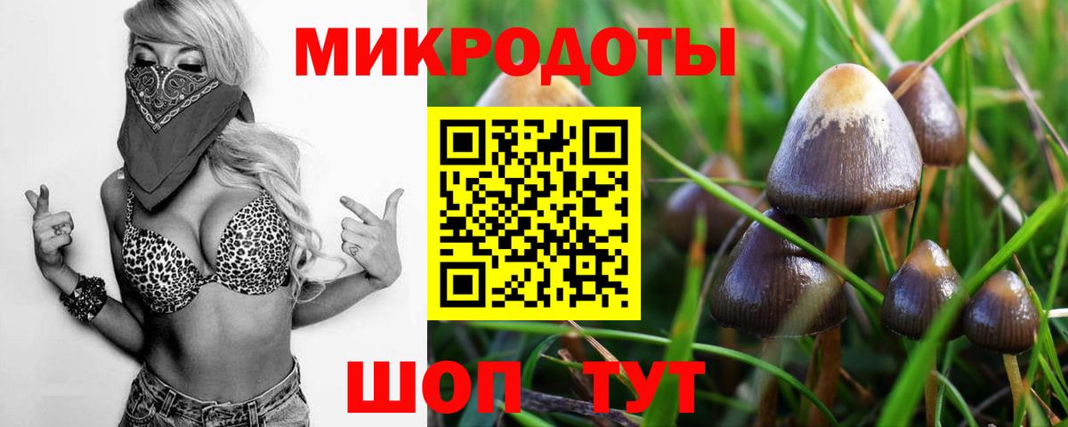 Псилоцибиновые грибы Magic Shrooms  Псилоцибиновые грибы Cubensis  Вход с VPN  Светлоград 