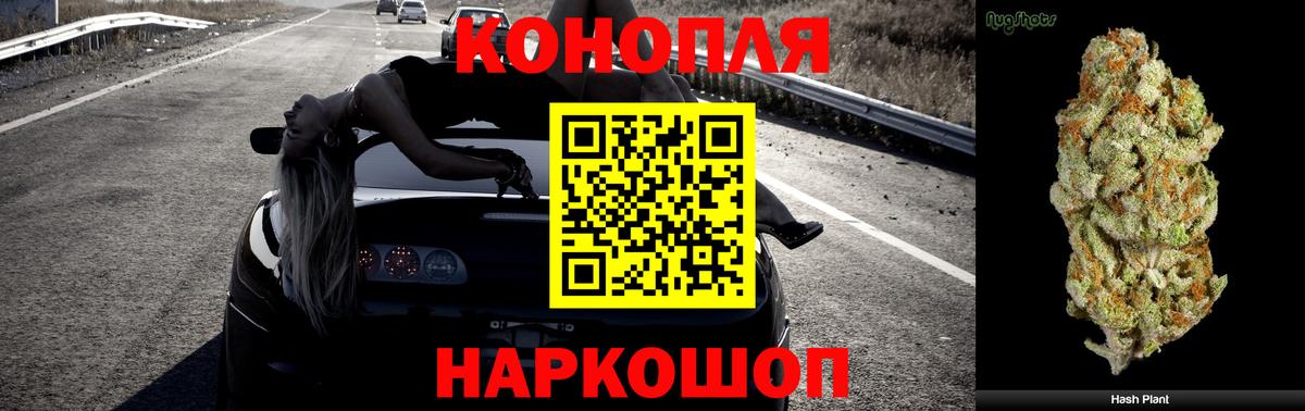 ГАШ Светлоград